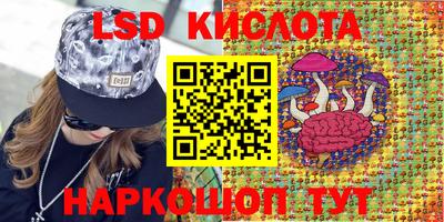 скорость Гатчина