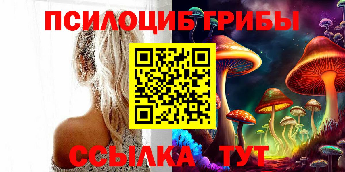 Псилоцибиновые грибы Psilocybe  Вход с VPN  Мурино 