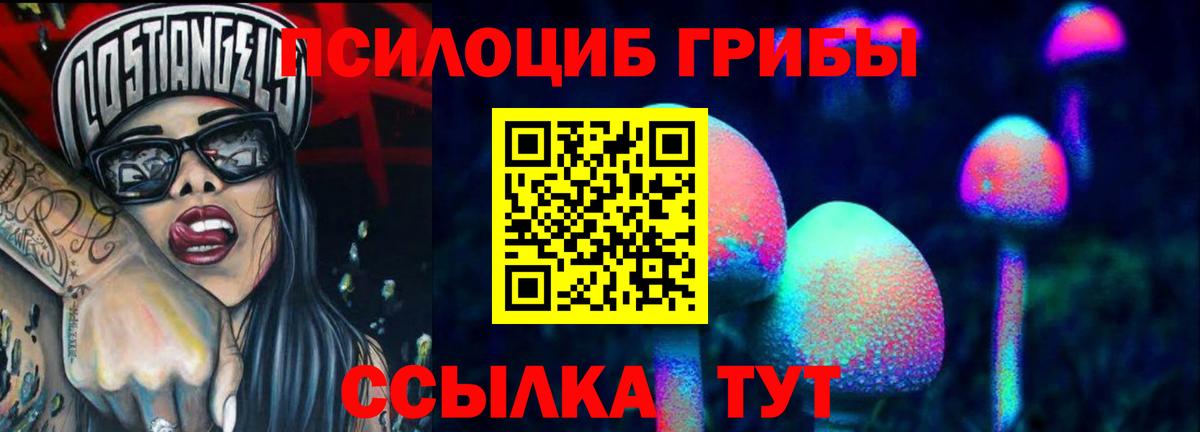 Псилоцибиновые грибы прущие грибы Мурино